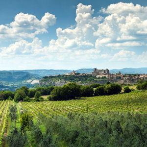 Day Trip to Italian Countryside