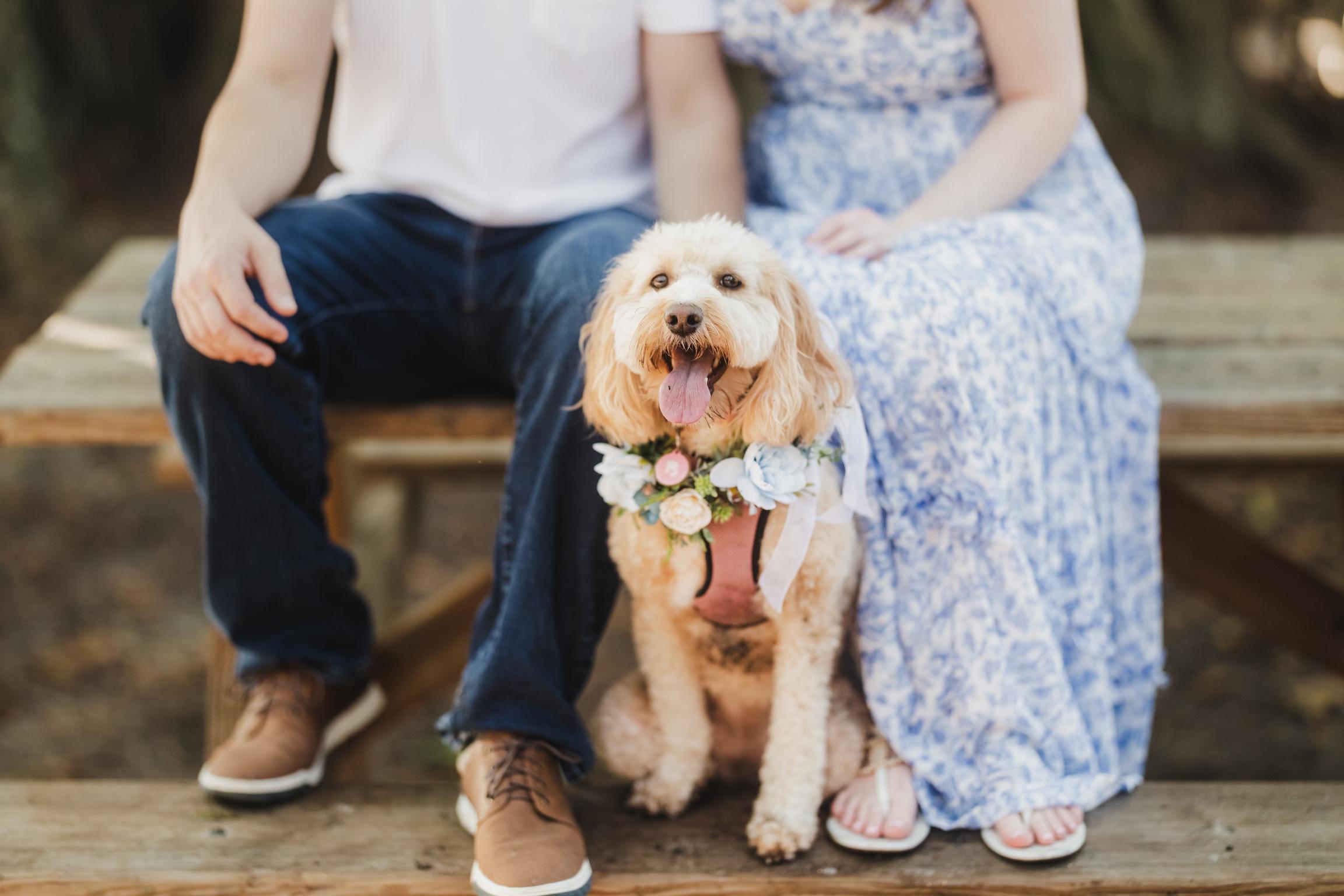 The Wedding Website of Julie Cole and Drew Kowalski
