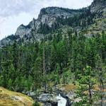 Bear Creek Trail