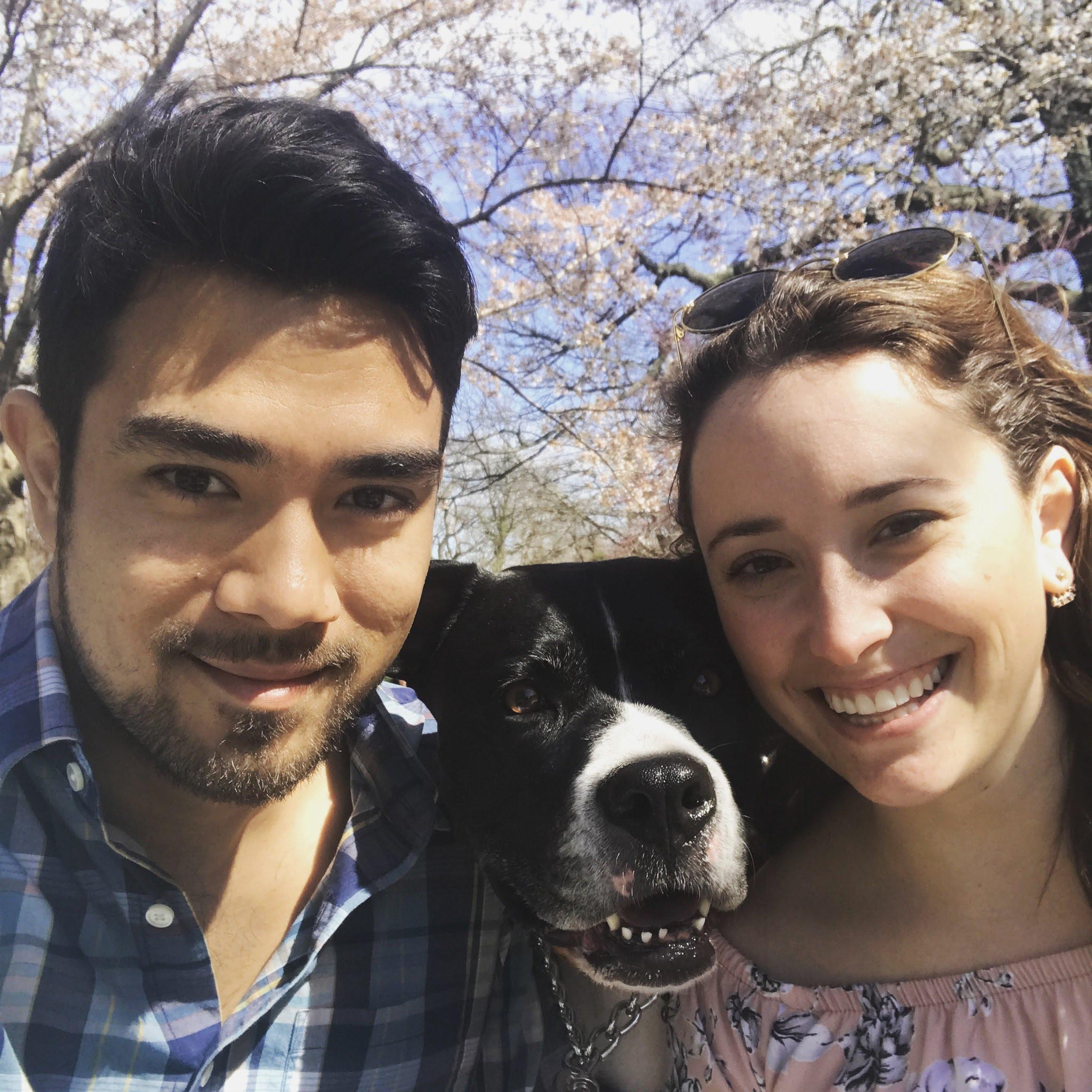 Cherry Blossom Festival