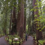 Muir Woods Visitor Center