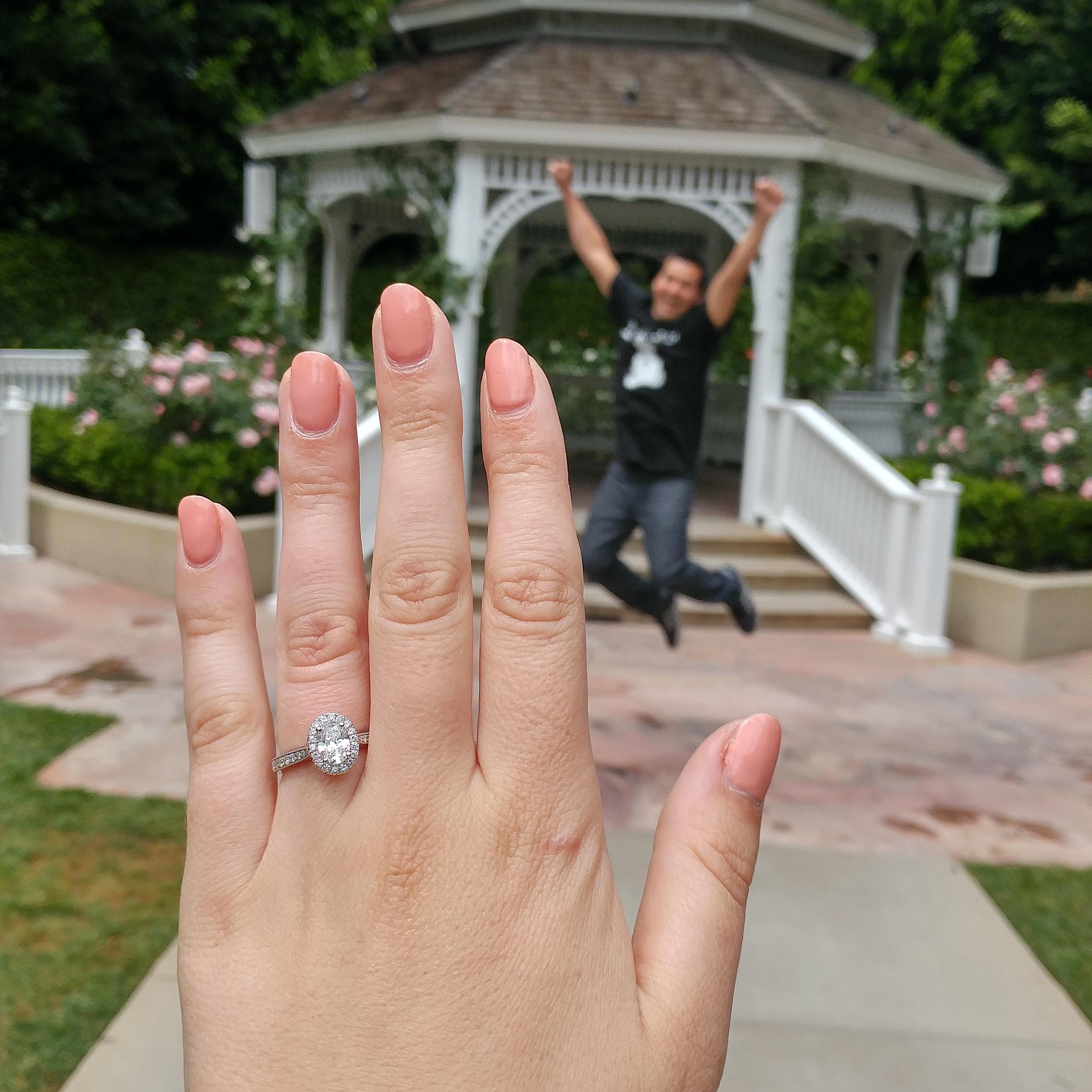 Disneyland Rose Garden Proposal 
2017