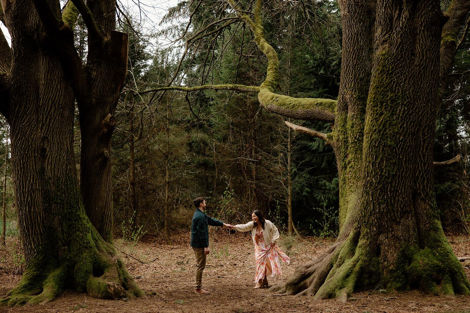 The Wedding Website of Haley Benjamins and Joshua Lynd