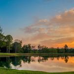Tunnel Creek Vineyards
