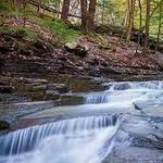 IBM Glen - Waterman Conservation Education Center