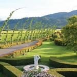 Peju Winery