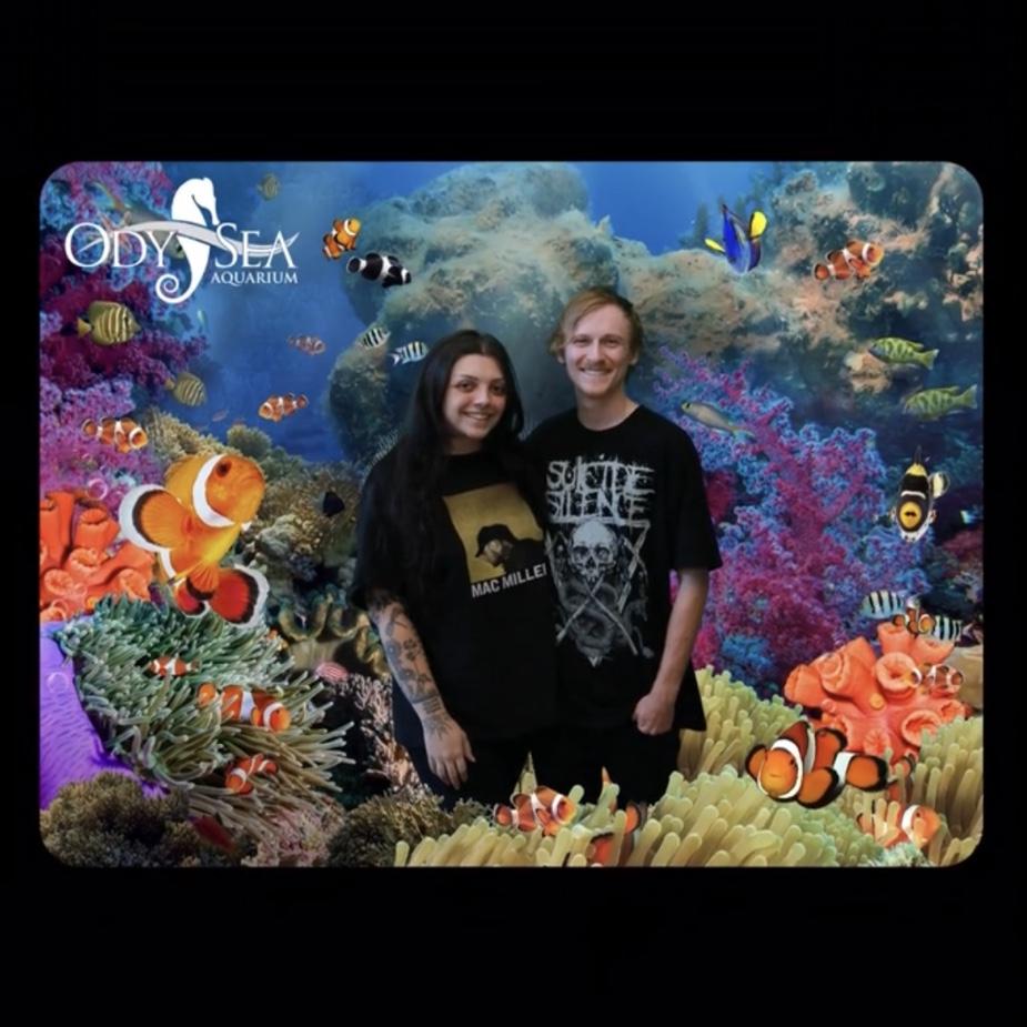 Odyssey Aquarium Scottsdale Arizona 2023