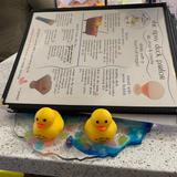 The Tipsy Duck Parlor