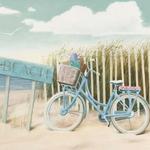 Bike Rental