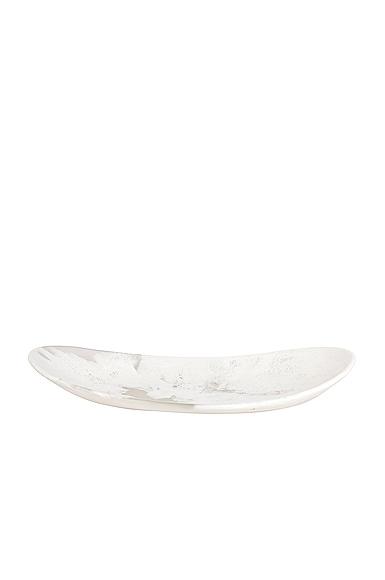 DINOSAUR DESIGNS Wildflower Seed Platter