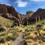 Dripping Springs Road