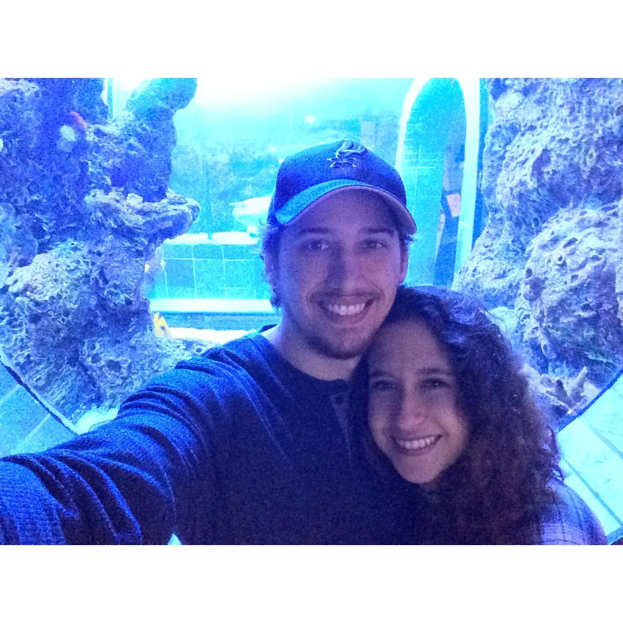 Dallas Aquarium because we love animals
