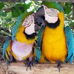 Parque Histórico Guayaquil