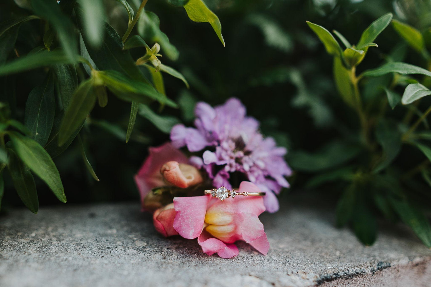 The Wedding Website of Breana Battles and Gregory Brumleve