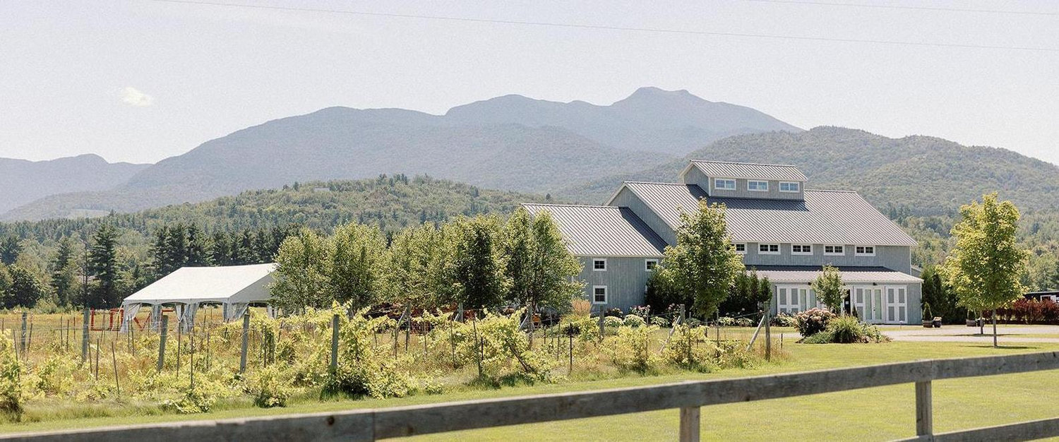 The Wedding Website of Rachel Hill and Jacob Matosky
