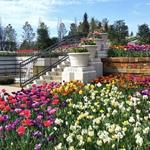 Tulsa Garden Center at Woodward Park