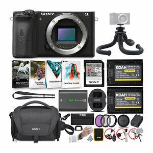 Sony Alpha a6600 APS-C Mirrorless Camera (Body Only) with Accessories Bundle