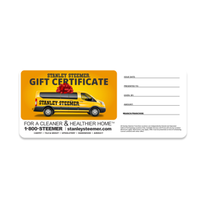 Stanley Steemer Home Deep Clean Service