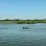 Charleston Outdoor Adventures