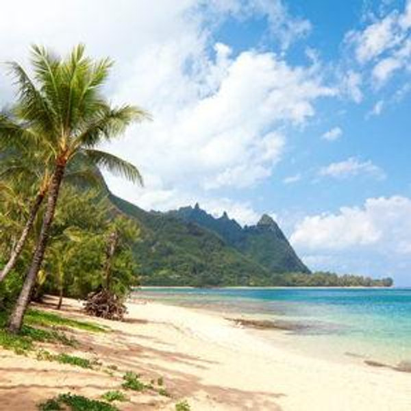 Honeymoon Fund: Hawaii!