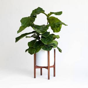 Large Mid-Century Modern Planter, Plant Stand with 10 in Ceramic Pot