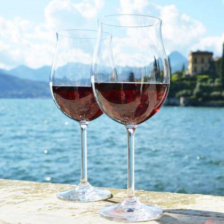 Wine Tasting in Lake Como
