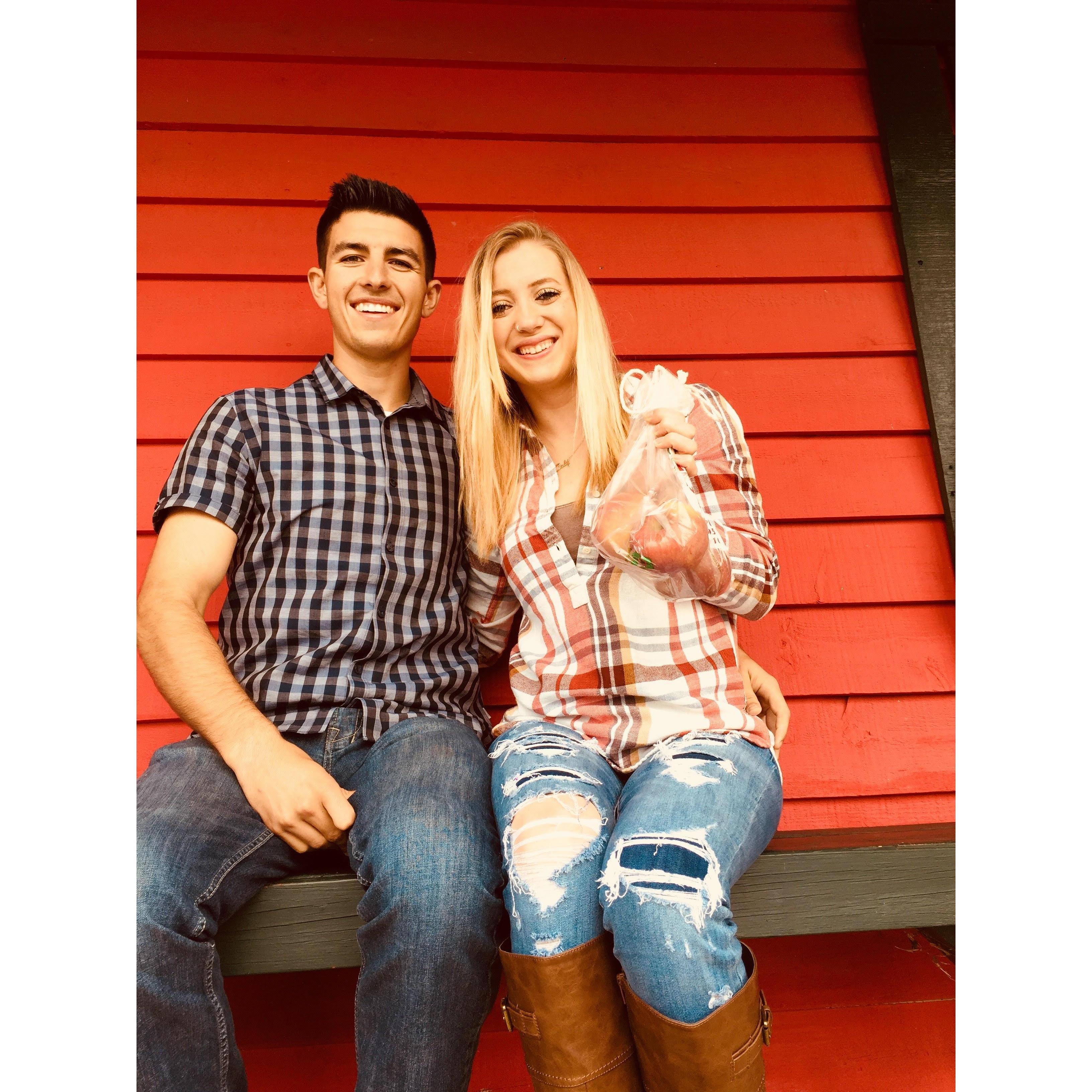 We spent the fall apple picking and driving through the fall foliage of Georgia!