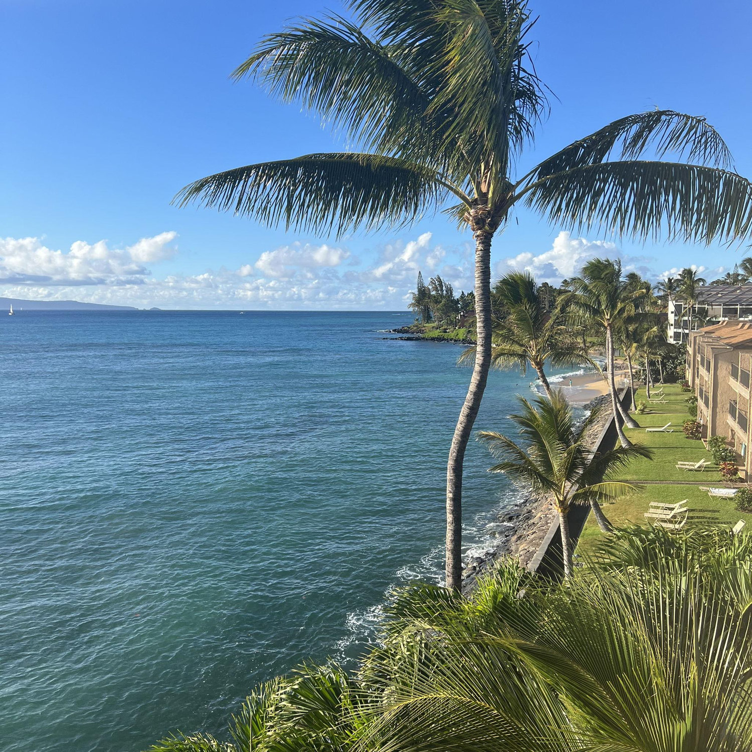 Maui