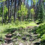 Hike Strawberry Lake Trail