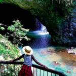 Springbrook National Park