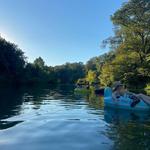 Float the Comal / Guadalupe River