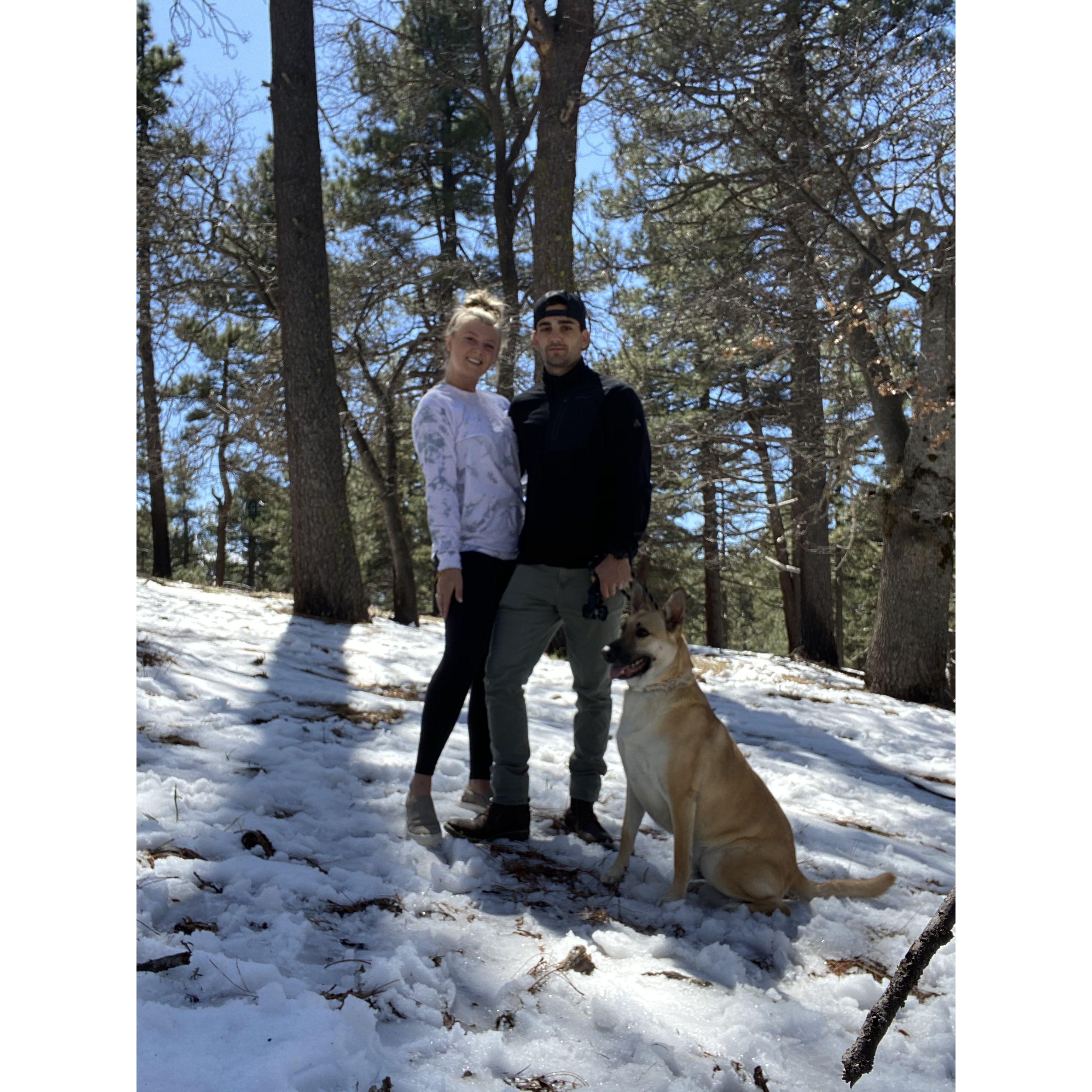 March 2020. Took Parker to the snow for the first time.