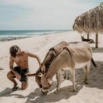 Day Trip Recommendations