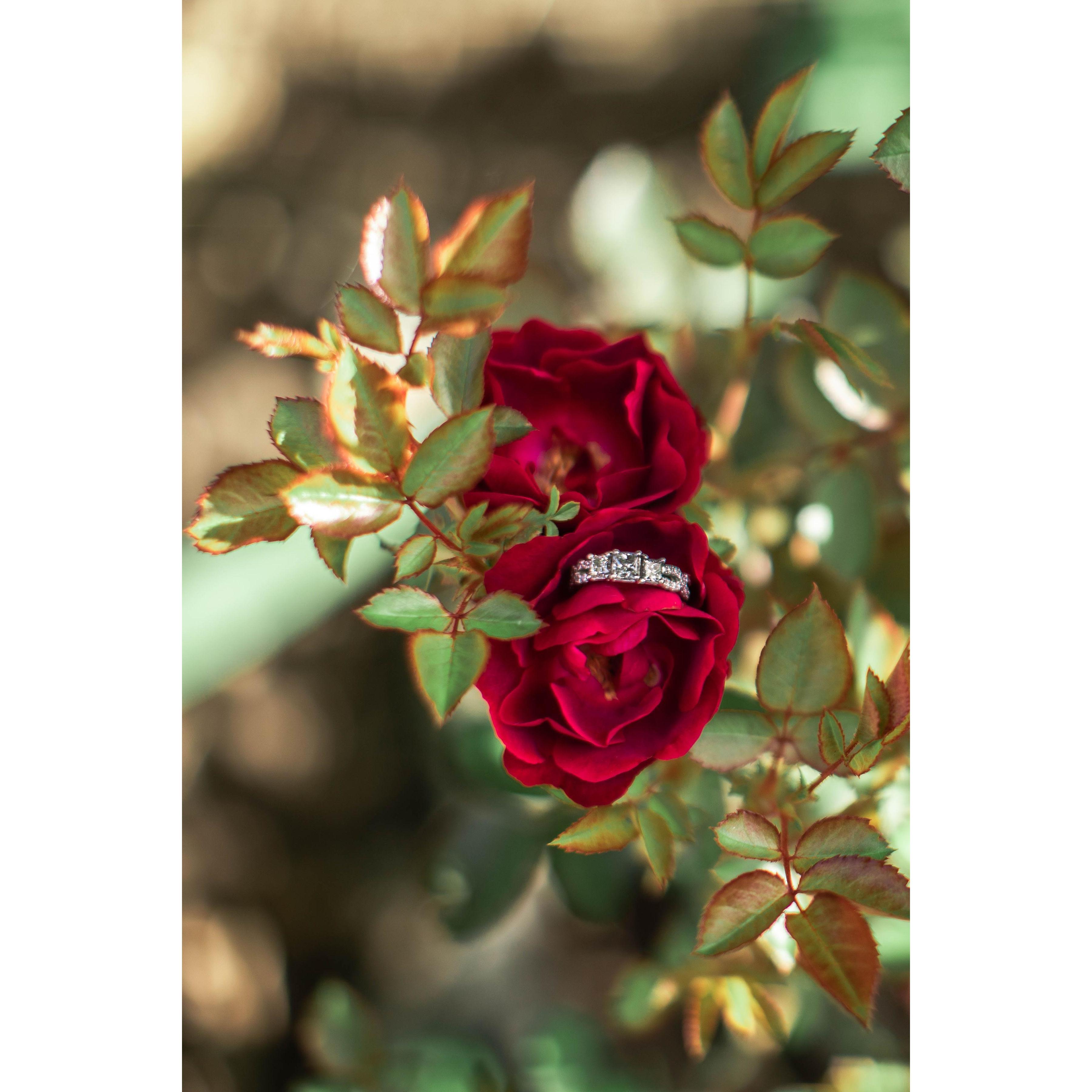 The dreamy ring that he designed.