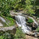 Carlon Falls Trail