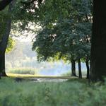Meyer Park