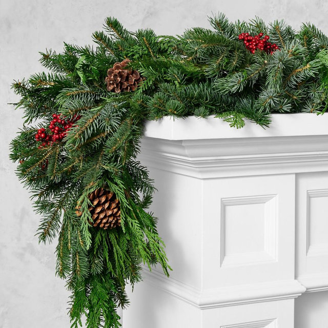 Holiday Berry & Pine Live Garland, 6', Pre-Lit