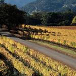 Napa’s Silverado Trail