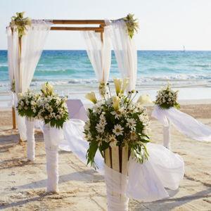 Our Wedding Fund