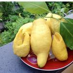 Amalfi Lemon Experience