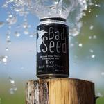 Bad Seed Cider Taproom