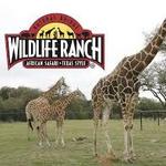 Natural Bridge Wildlife Ranch