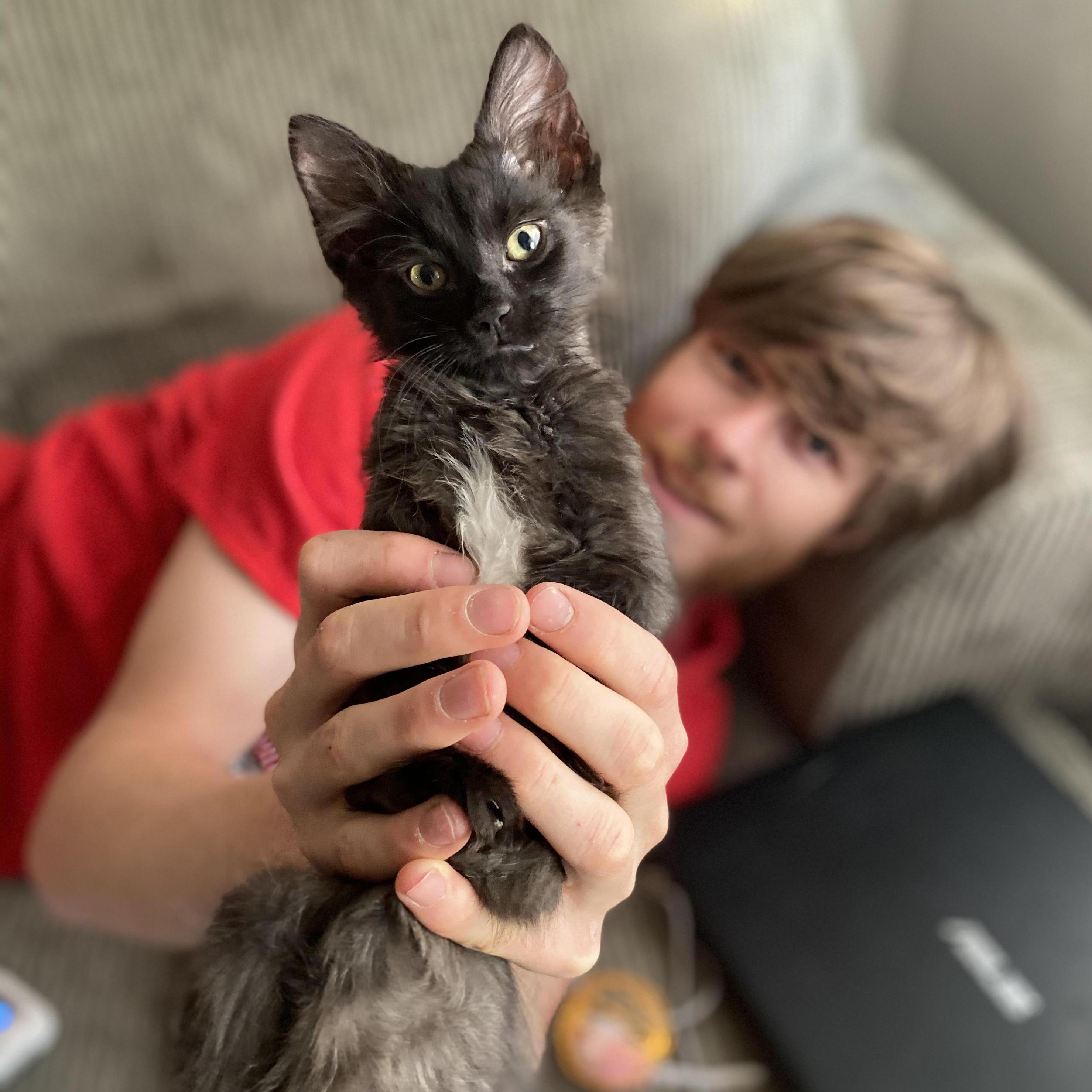 Our sweet baby Kurtis, our first cat.