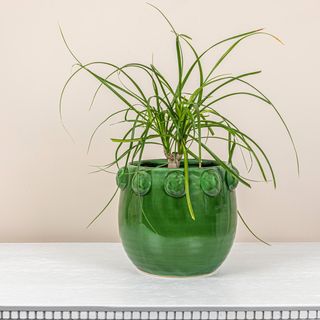 Raised Dots Terra-cotta Planter