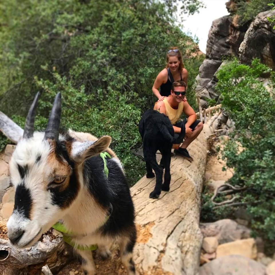 Hiking in Nevada!