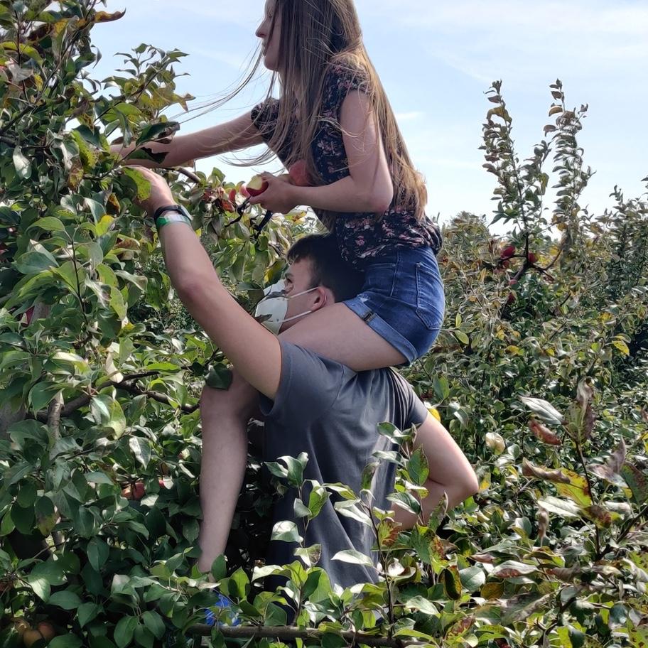 Apple picking with the family