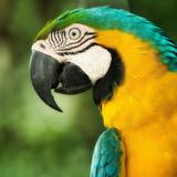 Summit Botanical Gardens & Zoo