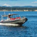 San Juan Safaris - Whale Watching