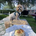 Sea Breeze Deli