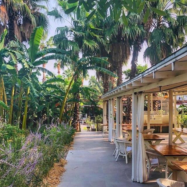 Cooking Class at Flora Farms- San Jose Del Cabo, Mexico